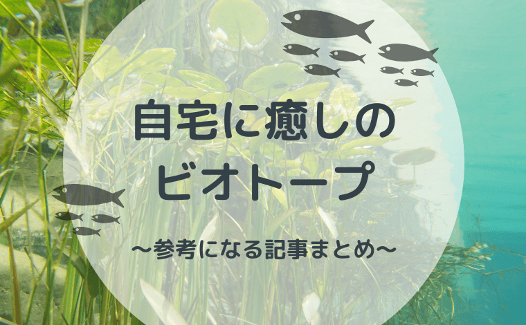 家にちいさなビオトープをつくろう 参考にしたい記事まとめ かなはしもとのblog