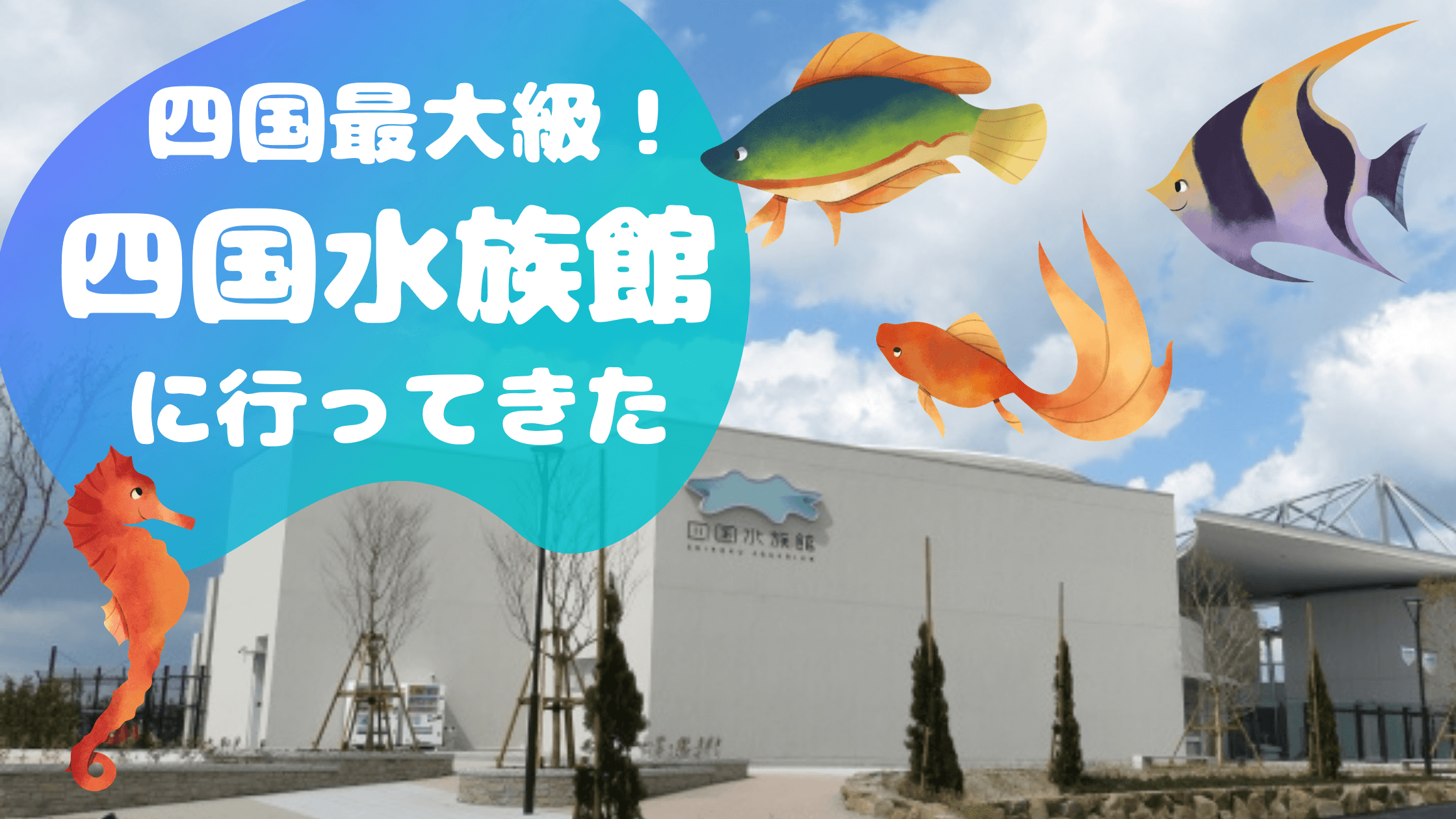 四国最大級!四国水族館に行ってきた!