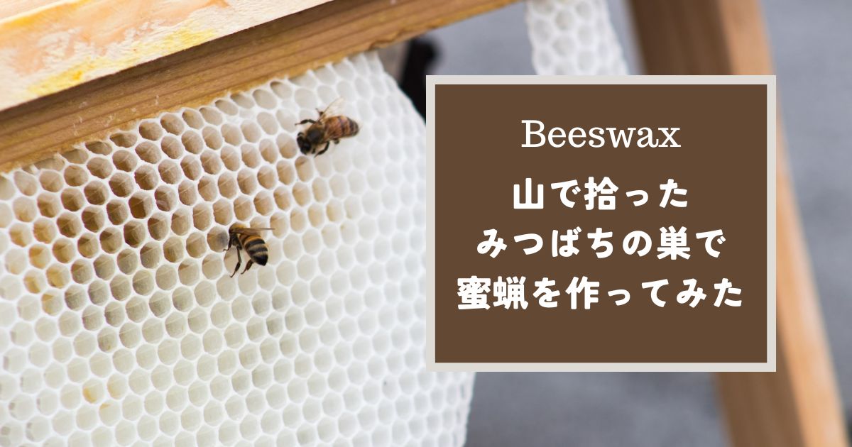 Beeswax 山で拾ったみつばちの巣で蜜蝋(みつろう)を作ってみた